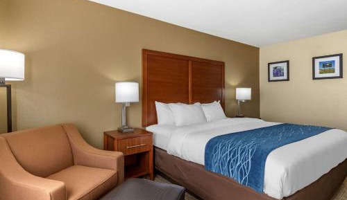 Efficiency King Room - Non-Smoking/Pet Friendly 