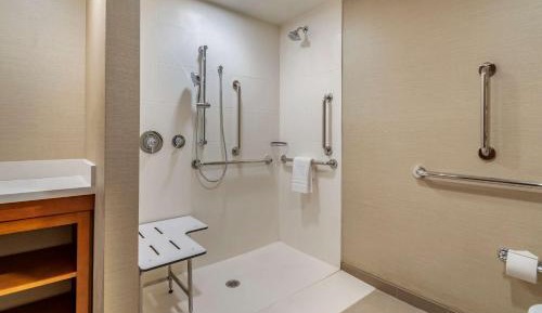 King Suite with Roll-In Shower and Sofa Bed - Accessible/Non Smoking