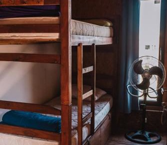 Bed in 4-Bed Dormitory Room