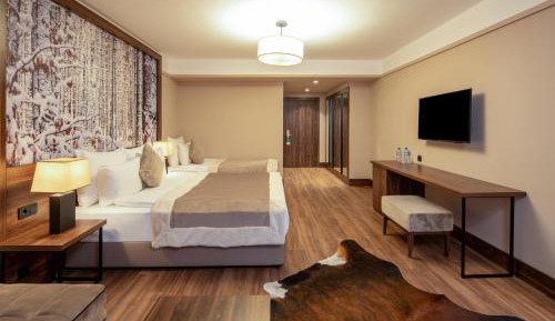 Superior Triple Room
