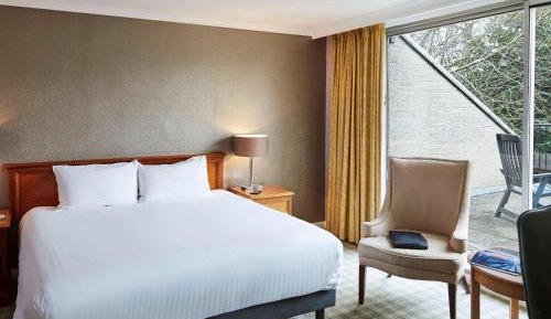 Junior King Suite with Patio or Balcony