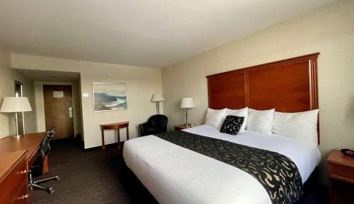 King Room - Non-Smoking