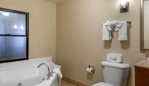 Superior King Suite - Non-Smoking