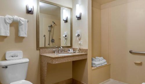 King Suite - Accessible/Non-Smoking