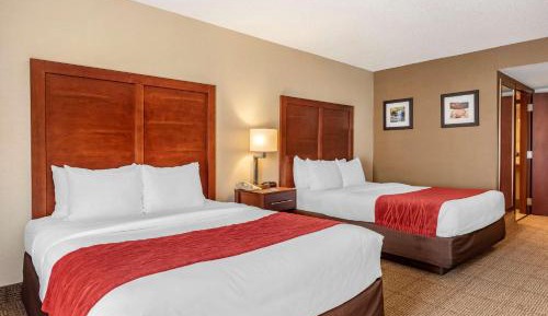 Queen Room with Two Queen Beds - Non-Smoking
