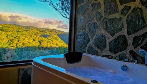 Suite with Hot Tub