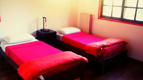 Single Bed in Mixed Dormitory Room