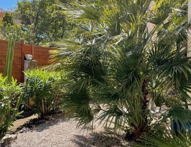 Single Room with Garden View