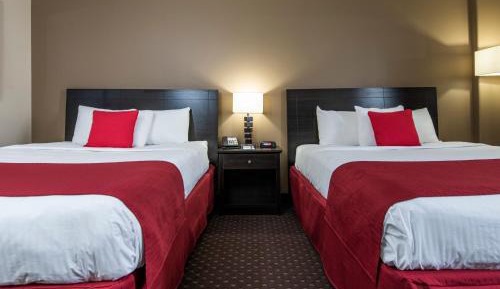Business Queen Room