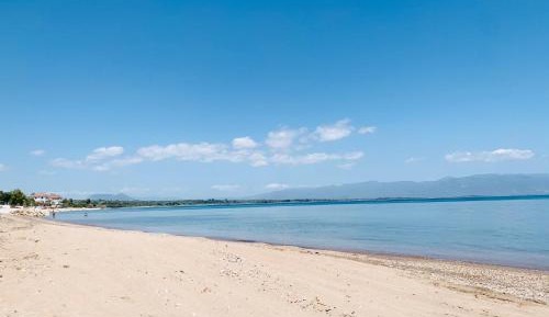 Studio with Garden View