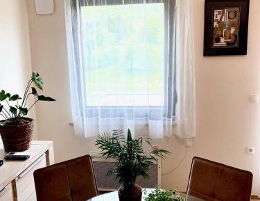 Comfort One-Bedroom Apartment