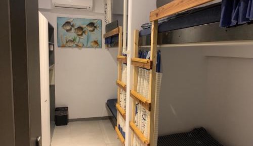 Bed in 4-Bed Mixed Dormitory Room