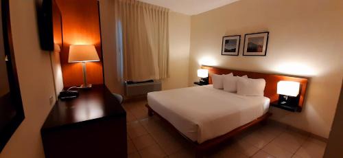 Queen Room - Non-Smoking