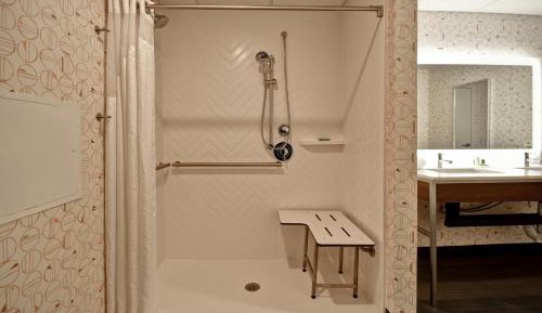 Suite - Mobility Access Roll in Shower/Non-Smoking
