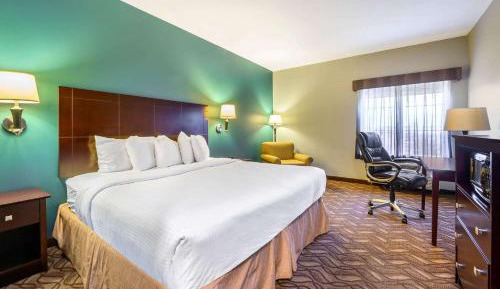 King Room with Roll-In Shower - Mobility/Hearing Accessible - Non-Smoking