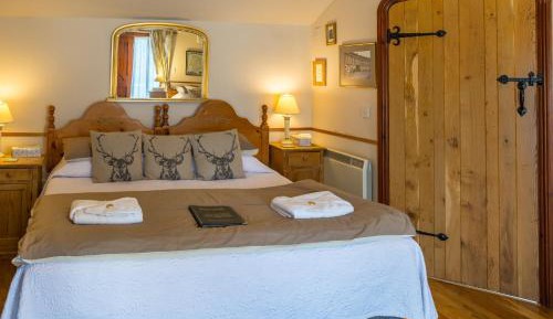 Premium Quadruple Room