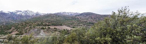 Double Room with Park View