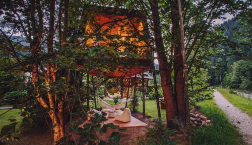 Suite - Tree House