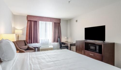 1 King Bed 