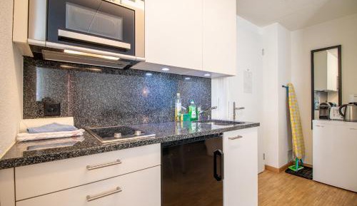 Studio Apartment