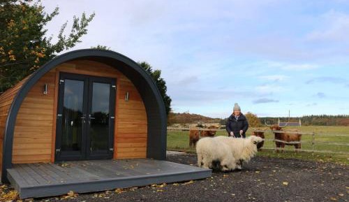 One-Bedroom House