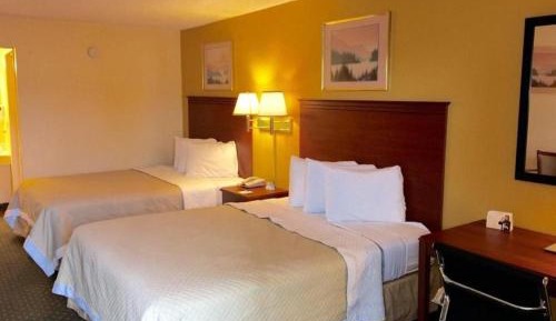 Standard Queen Room with Two Queen Beds - Pet Friendly