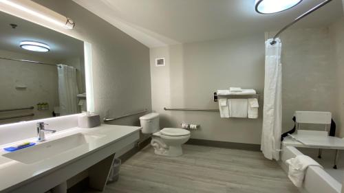 King Room with Roll-In Shower - Disability Access