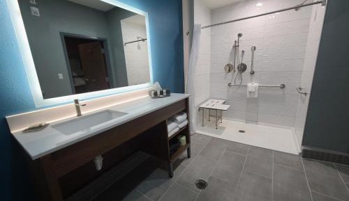 1 King Bed, Mobility/Hearing Access Efficiency Room, Roll-In Shower, Non-Smoking