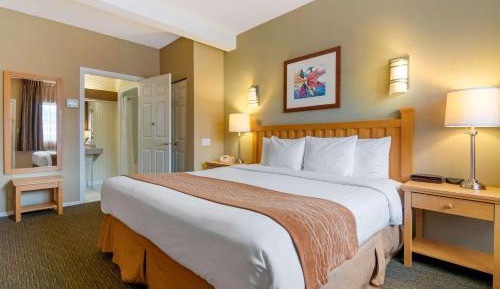 Deluxe King Room - Non-Smoking