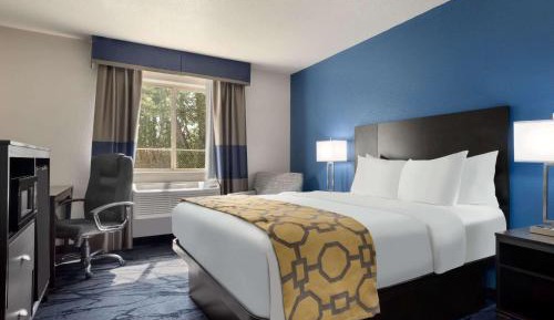 King Room - Non-Smoking