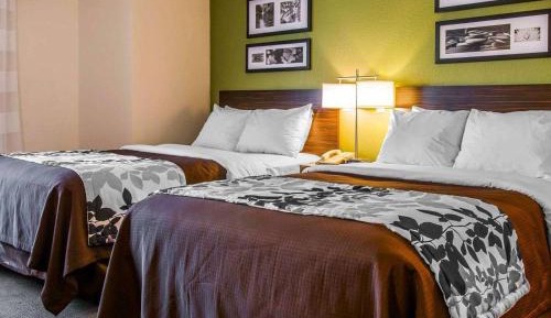 Double Room with Two Double Beds - Non-Smoking