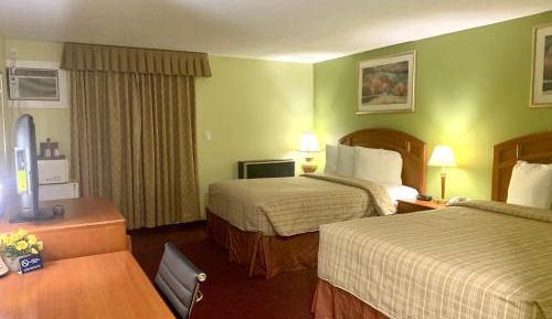 Superior Queen Room