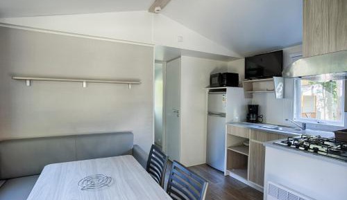 Mobile Home