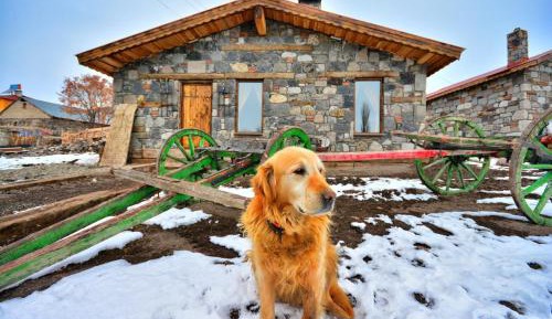 Three-Bedroom Chalet