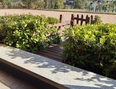 Apartment with Garden View