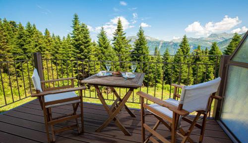Double or Twin Room with Mountain View