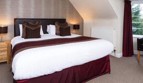 Standard King Room