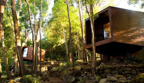 Junior Suite with Garden View