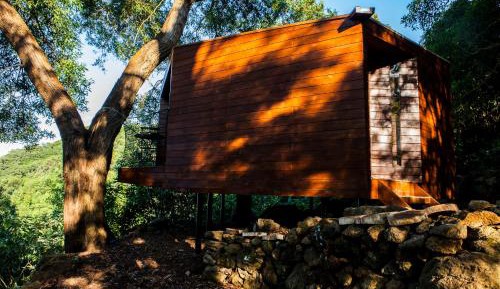 Junior Suite with Ocean View