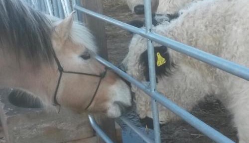 Two-Bedroom Apartment with Terrace