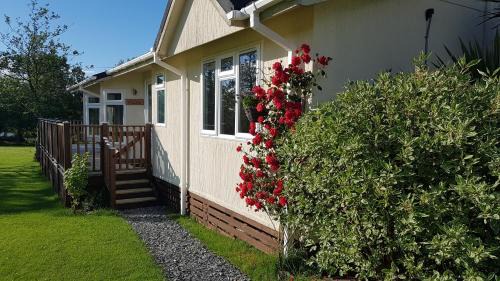 Willow Lodge 