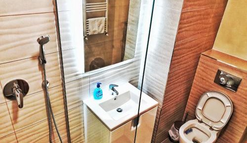 Apartment with Lake View