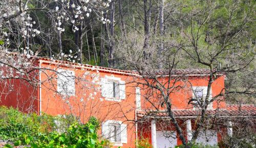 Studio with Garden View