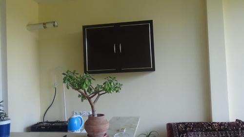 Quadruple Room with Private External Bathroom
