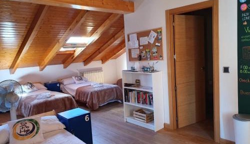 Single Bed in Mixed Dormitory Room