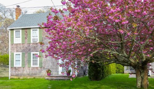 Three Bedroom holiday home 
