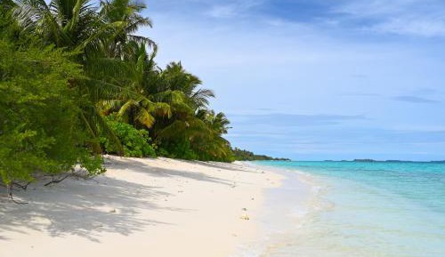 Deluxe Double or Twin Room with Three Dives per day
