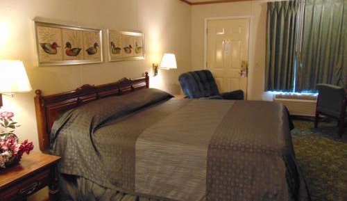 Large Single Room