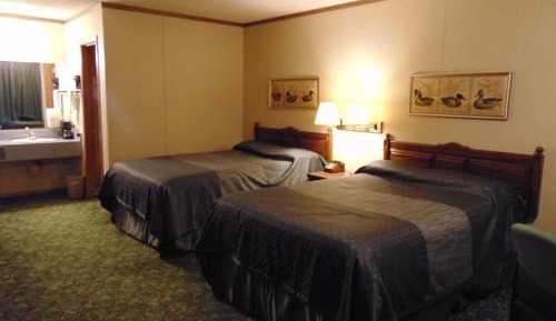 Double Room with Two Double Beds