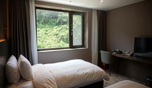 Standard Twin Room with Mountain View